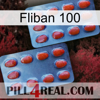 Fliban 100 05